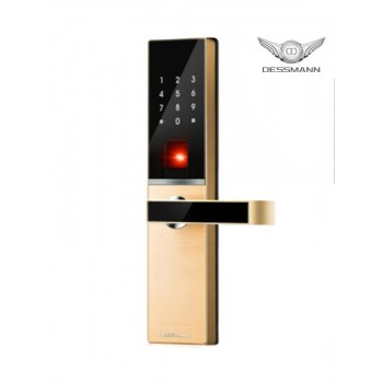 Khóa cửa vân tay Dessmann G811-Gold